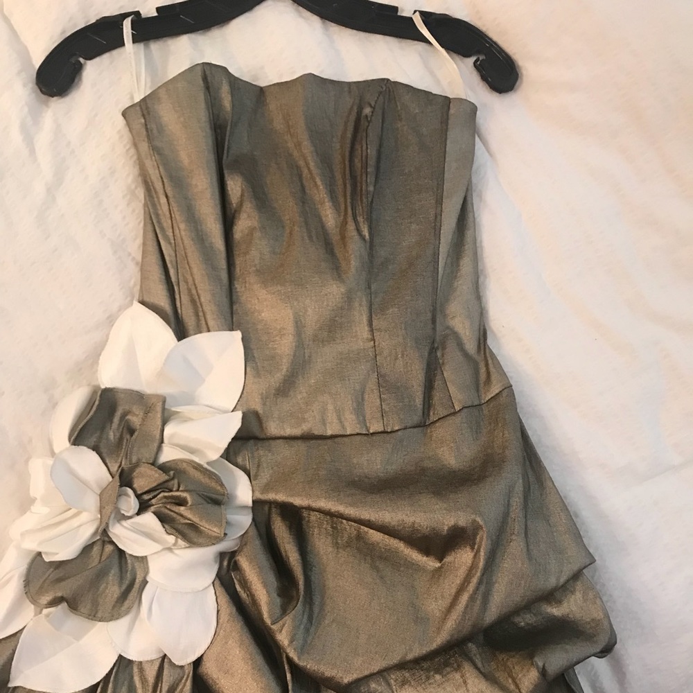 Jessica McLintock Dress (worn once)